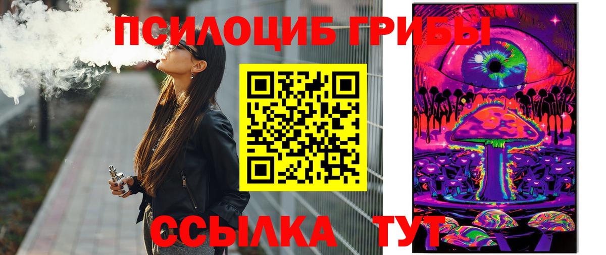 Гагарин  Псилоцибиновые грибы Cubensis  Вход с VPN  Псилоцибиновые грибы Magic Shrooms 